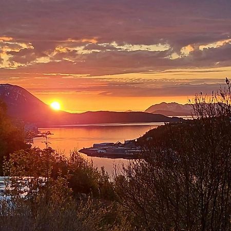 Harstad, All Seasons Bagian luar foto