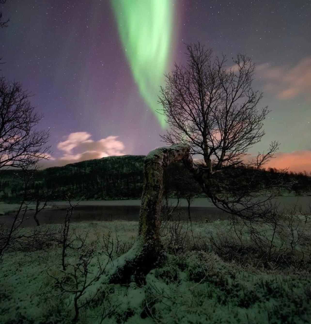 Harstad, All Seasons Bagian luar foto