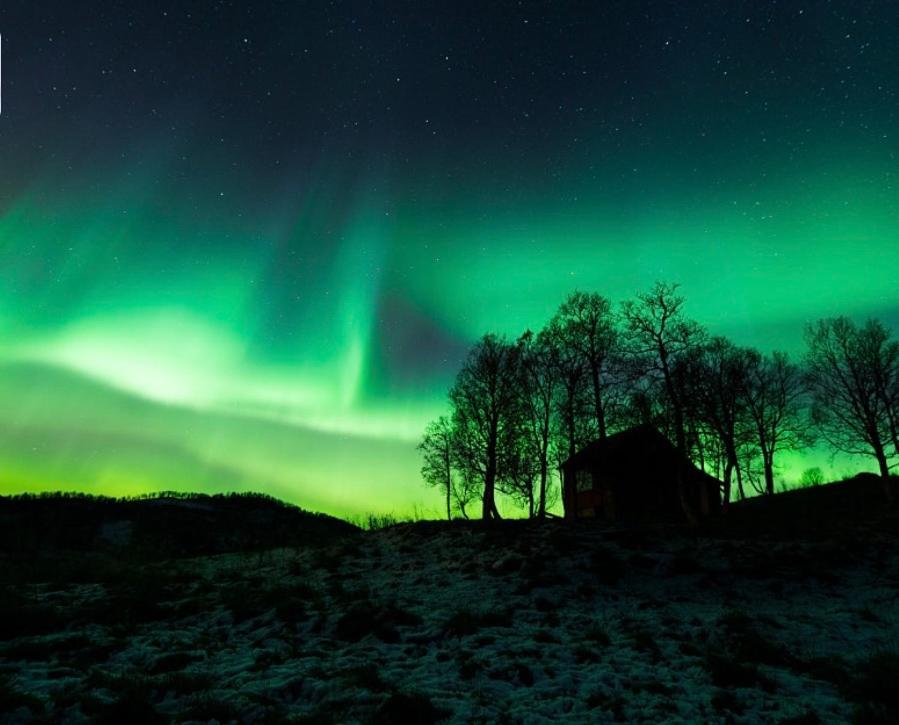 Harstad, All Seasons Bagian luar foto